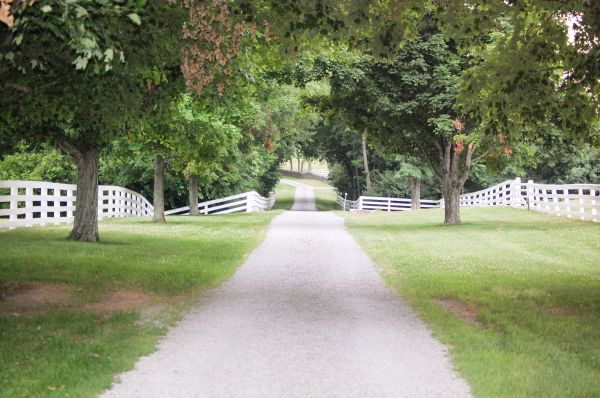 Gravel Driveway Construction in Youngstown