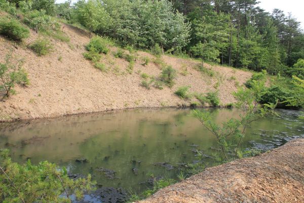Pond Erosion Repair in Youngstown