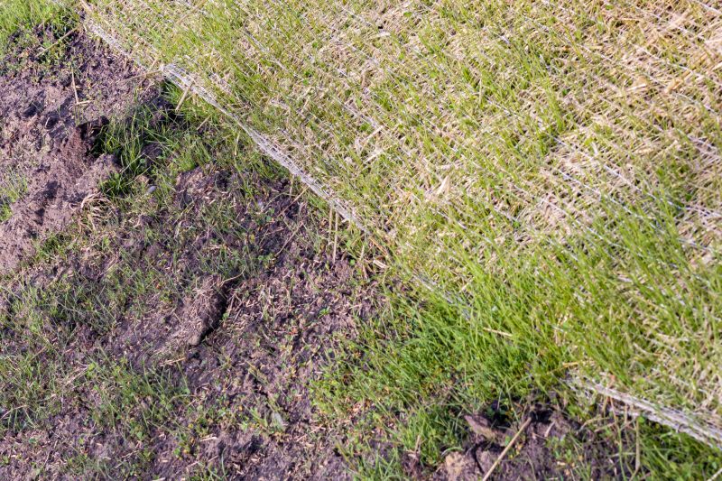 Soil Compaction and Stabilization